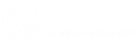DEUTSCHE GAS & STROM DGS GMBH Logo